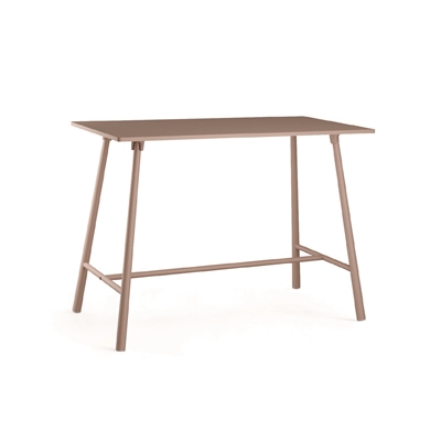 turtle desk